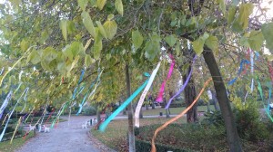 les rubans de Calais sont accrochés à un arbre du parc en face de la Mairie